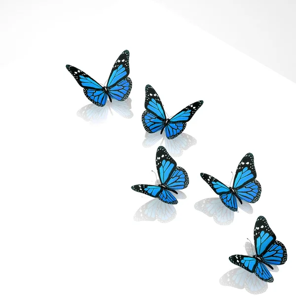 Hermosas mariposas azules — Foto de Stock