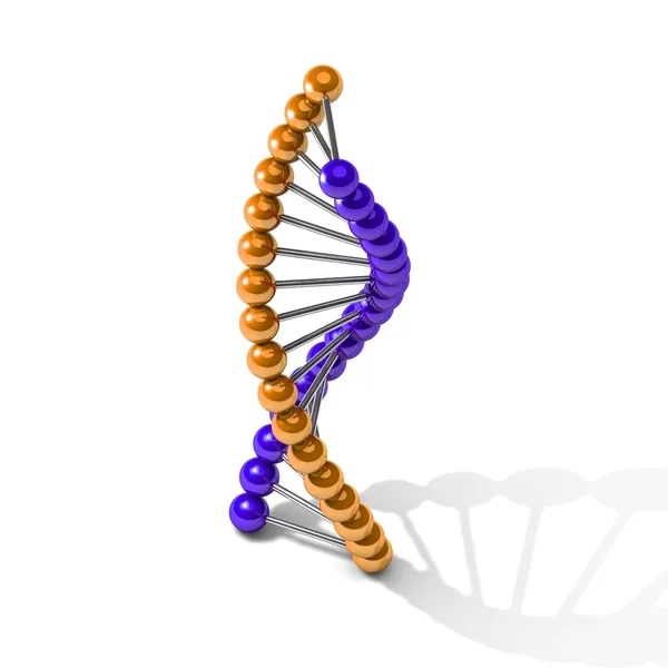 数字说明了 dna — 图库照片