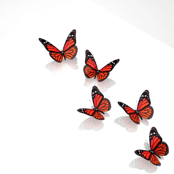 Belas borboletas vermelhas — Fotografia de Stock