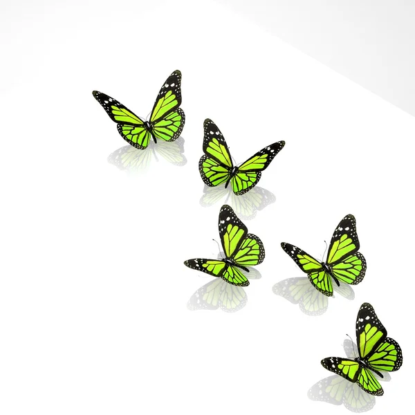 Beautiful green butterflies — Stock Photo, Image