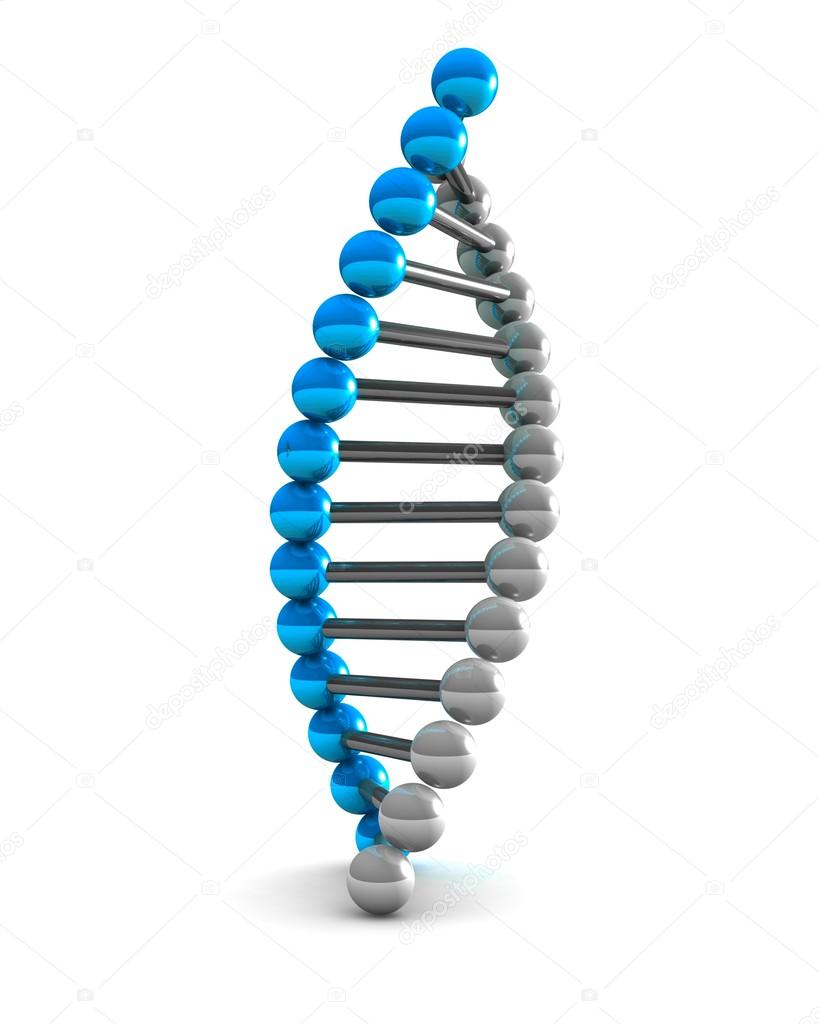 Digital illustration of DNA