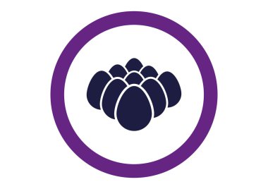 tavuk yumurtası yığını