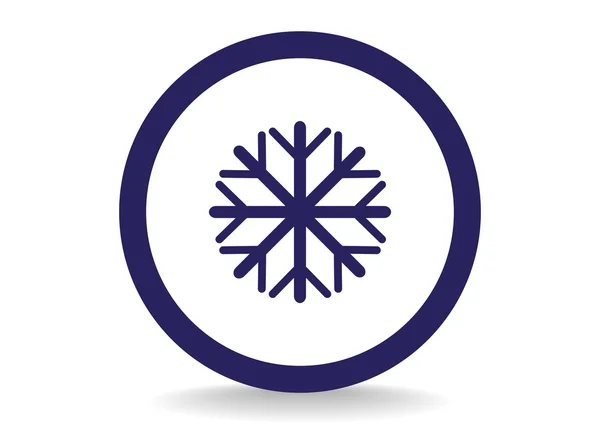 Ikony WWW śnieżynka — Wektor stockowy