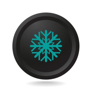 kar tanesi web simgesi