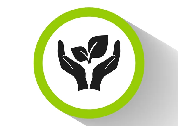 Sprout eco tecken spindelväv ikonen — Stock vektor