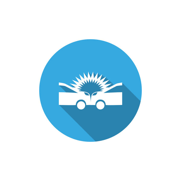 Auto accident icon