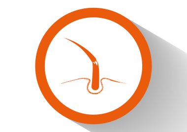 Hasarlı saçın web simgesi