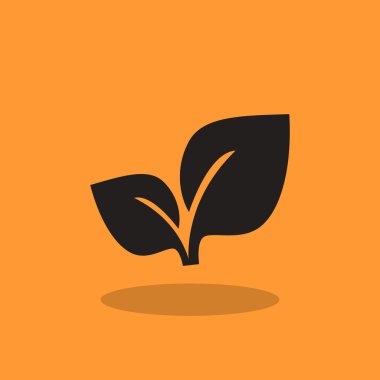 Yaprakları basit organik kavramı