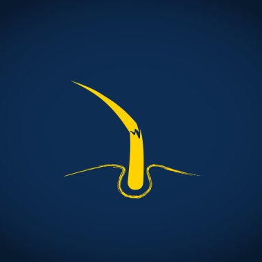 Hasarlı saçın web simgesi