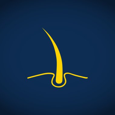 Hasarlı saçın web simgesi