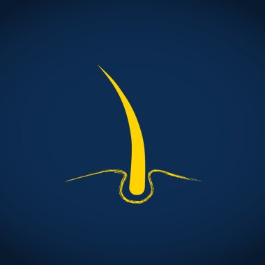 Hasarlı saçın web simgesi