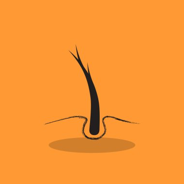 Hasarlı saçın web simgesi