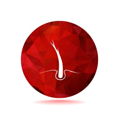 saç web simgesi