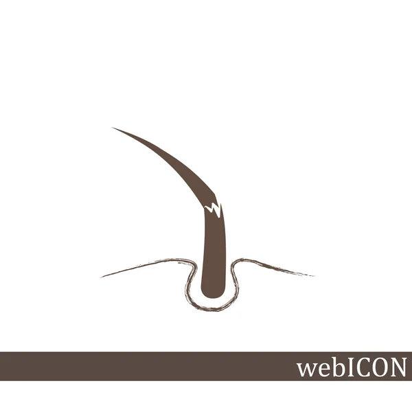 Capelli, icona web — Vettoriale Stock