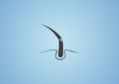 Hasarlı saçın web simgesi