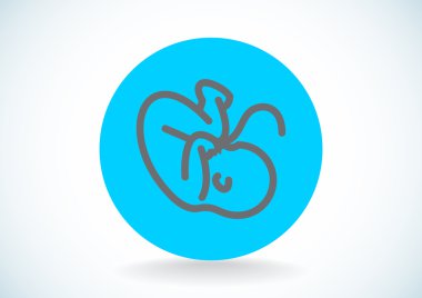 Embryon Bebek göbek simgesiyle