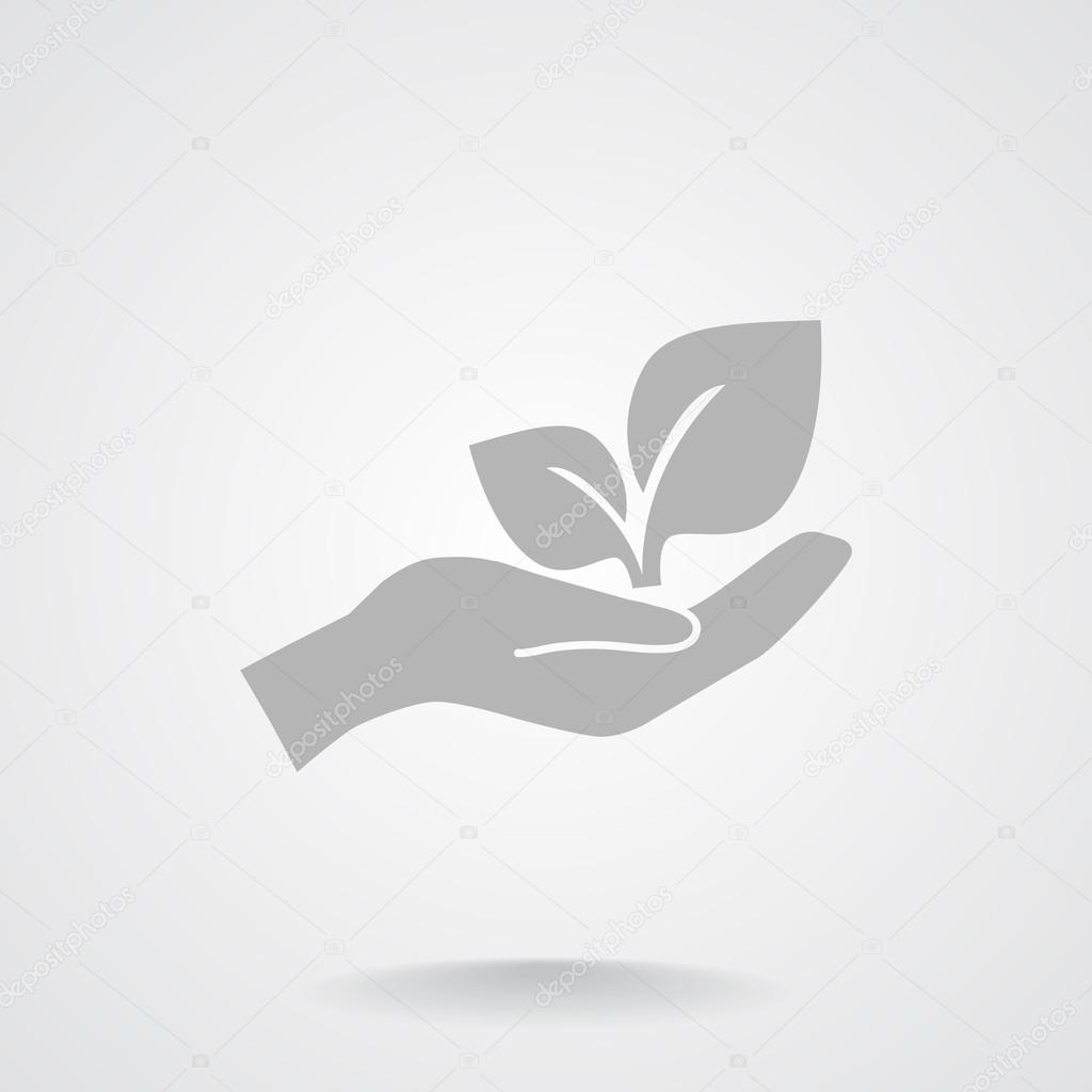 Leaves on human hand icon
