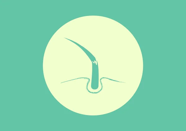 Skadat hår Spindelväv ikonen — Stock vektor
