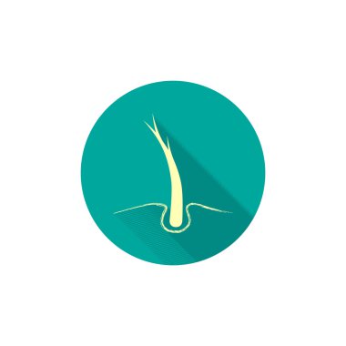 Hasarlı saçın web simgesi