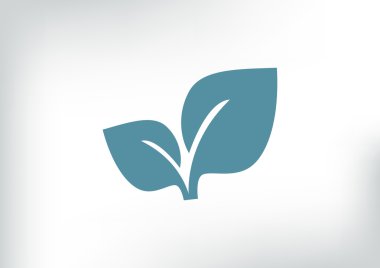 Yaprakları basit organik kavramı