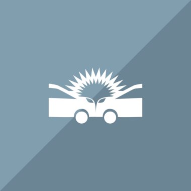 Otomatik kaza web simgesi