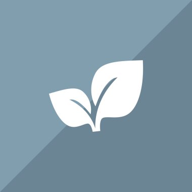 Yaprakları basit organik kavramı