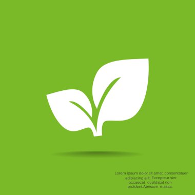 Yaprakları basit organik kavramı