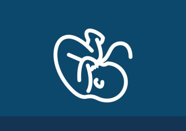 Embryon Bebek göbek simgesiyle