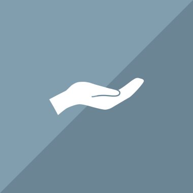 El web simgesi soran