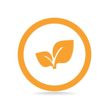 Yaprakları basit organik kavramı