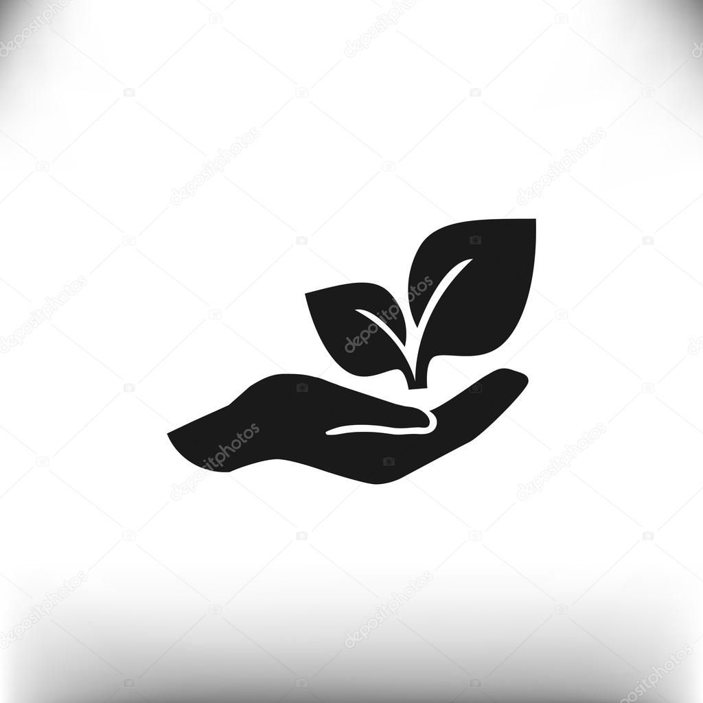 Leaves on human hand icon