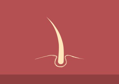 Hasarlı saçın web simgesi