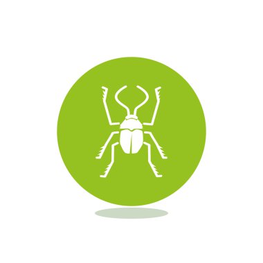 Anahat böceği böcek simgesiyle