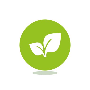 Yaprakları basit organik kavramı