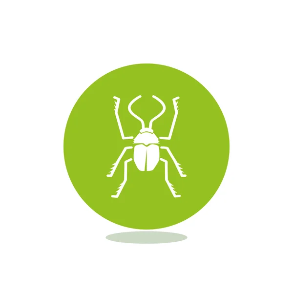 Símbolo de Bug com besouro contorno —  Vetores de Stock
