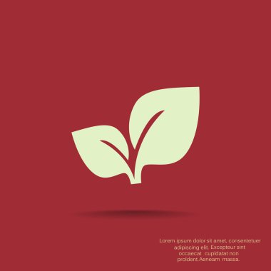 Yaprakları basit organik kavramı