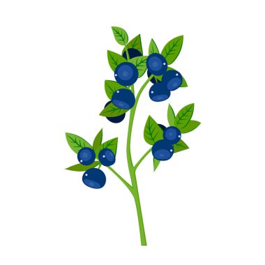 Çalıların üzerinde yabanmersini. Beyaz arkaplanda vektör illüstrasyonu