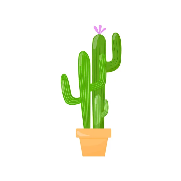 Cactus dans une casserole. Un succulent vert avec une fleur rose. Illustration de dessin animé plat isolé sur un fond blanc. — Image vectorielle