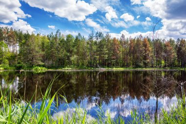 Güzel kayalık kariyer, Korostushev, Ukrayna