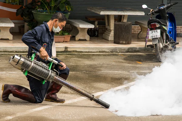 Imma mygga att förebygga denguefeber — Stockfoto