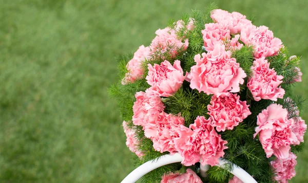 Flores de clavel de color rosa Imagen De Stock