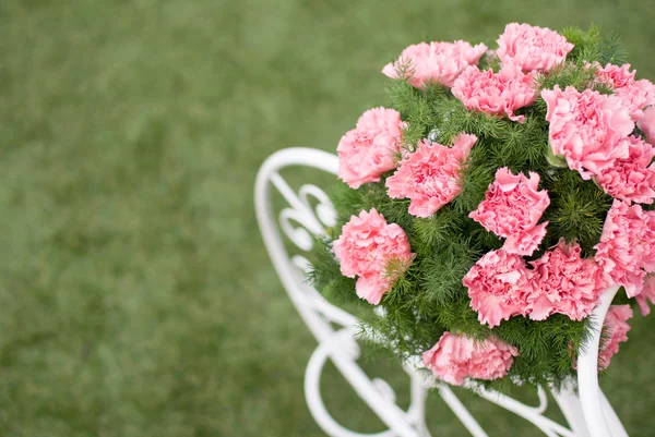 Kolorowy różowy Goździk kwiat Zdjęcia Stockowe bez tantiem