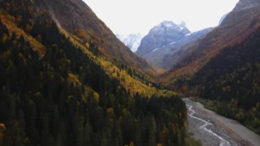 Dağların ve tepelerin üzerinden geçerek altında bir nehir bulunan renkli sonbahar ormanlarıyla kaplı. Dombay. - Rusya. İHA