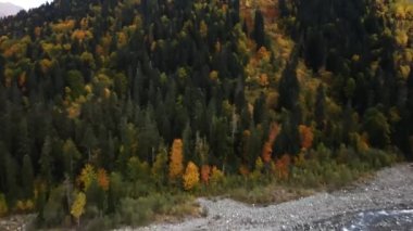Sonbaharda rengarenk ormanlarla kaplı dağ boyunca uçmak. Dombay, Rusya. İHA