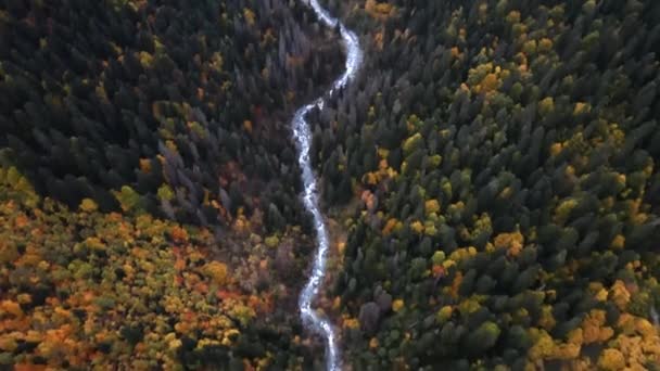 Altın Sonbaharda Orman Tepeleri Arasında Buzlu Bir Nehrin Üst Manzarası — Stok video