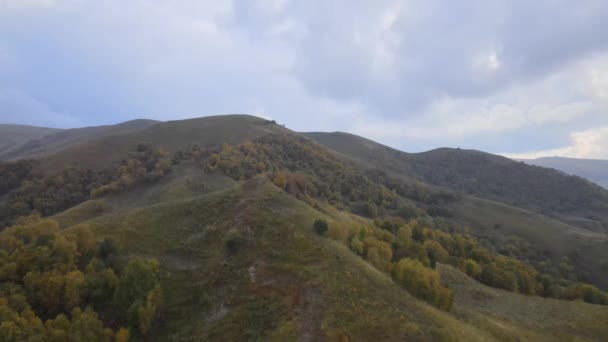 秋には茂みや森に覆われた山の峰の上を飛ぶ ドローンビュー — ストック動画