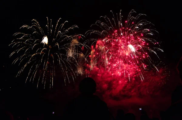 Bokeh arkaplanlı renkli havai fişekler. Soyut festival arkaplanı
