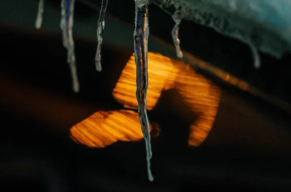 Buz saçağı çatının kenarından sarkıyor. Yakın plan, çatı planı. Işıklardan Bokeh. Yeni yıl arifesi, Noel