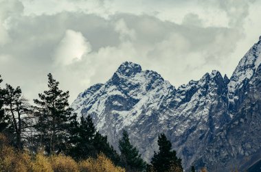 Dağın yüceliği. Dombay. Karachay-Çerkessia