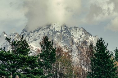 Dağın yüceliği. Dombay. Karachay-Çerkessia